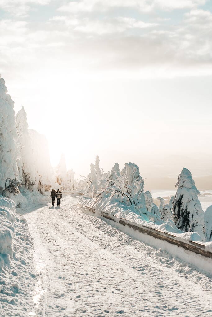 Two travel companions walking down a snow covered road.